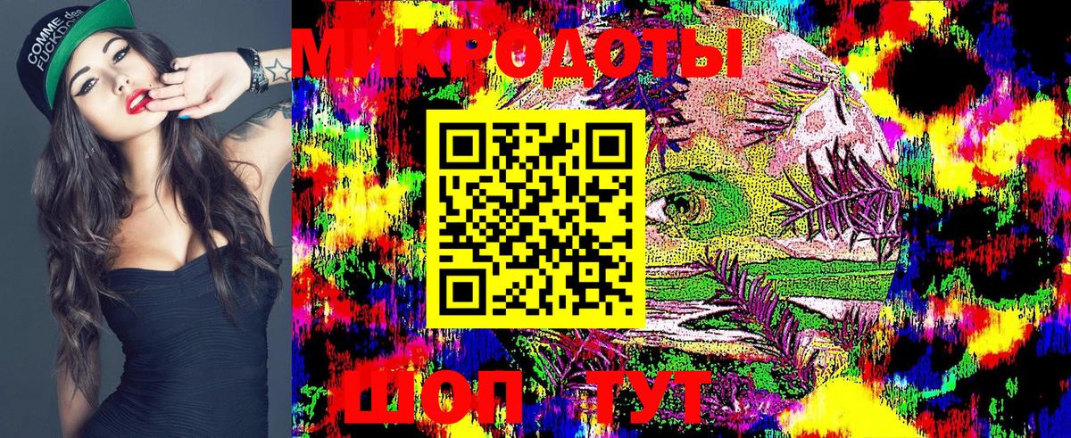 Галлюциногенные грибы Psilocybe Озёрск
