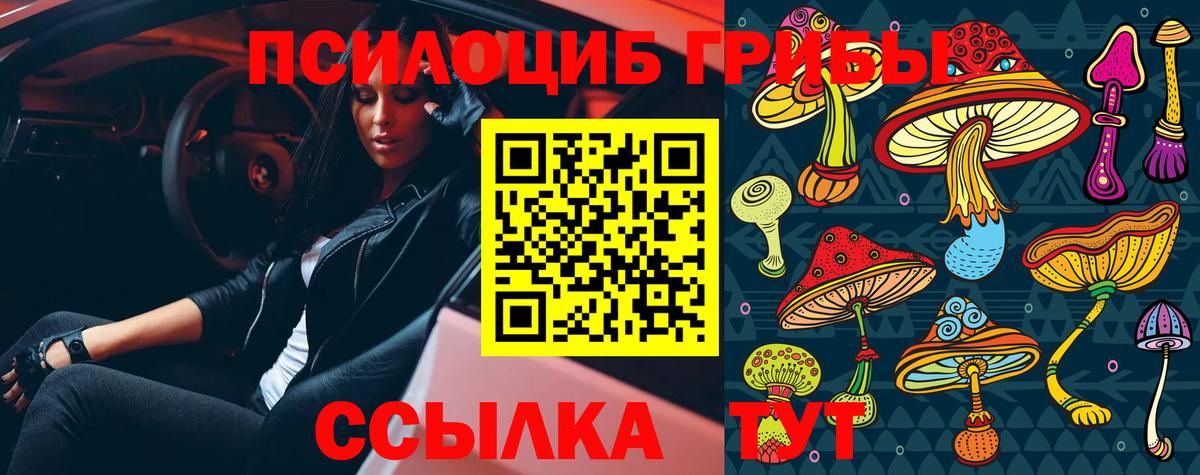 Псилоцибиновые грибы Magic Shrooms  Галлюциногенные грибы Psilocybe  Озёрск  Вход с VPN 